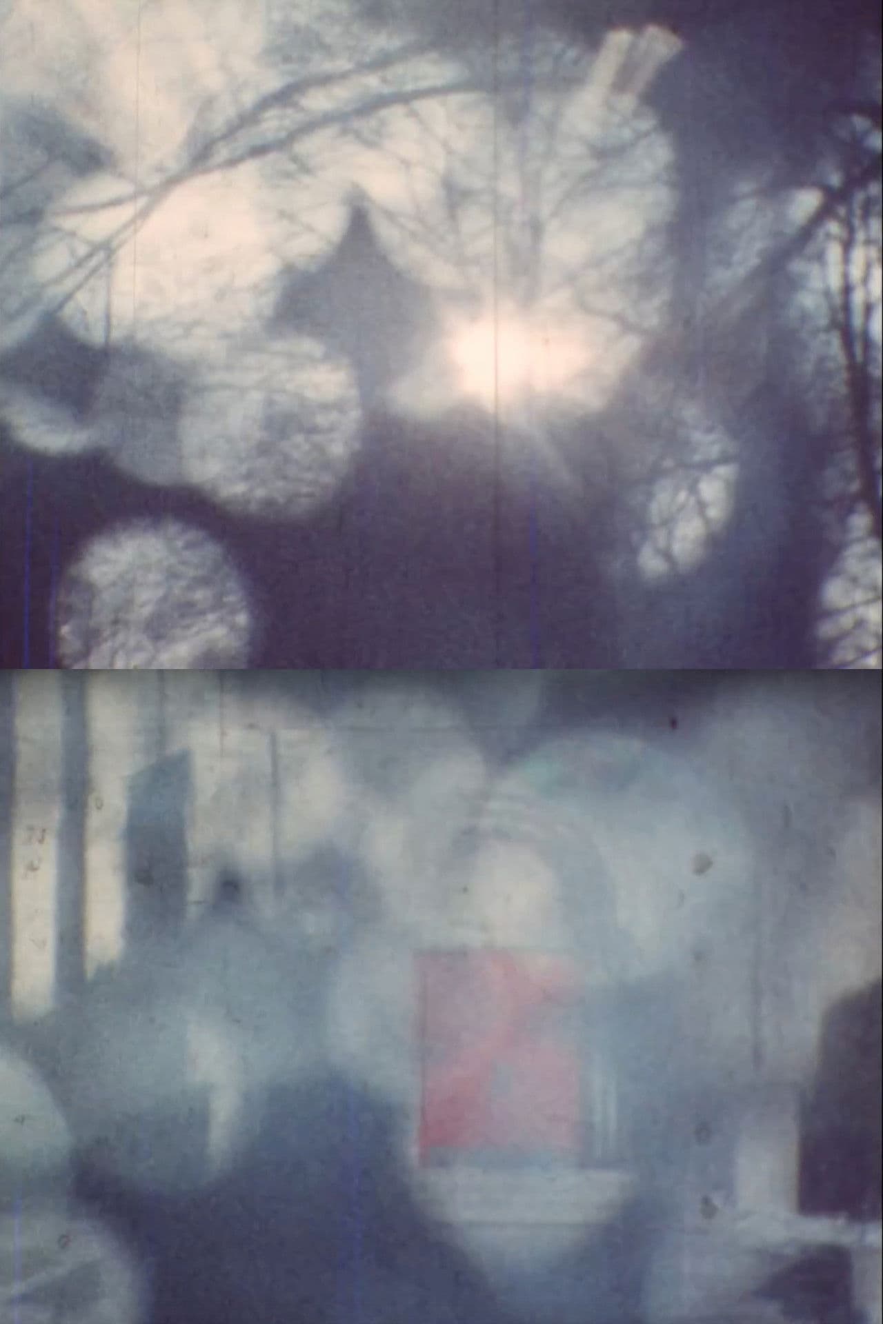 Film Diary #3 (In Memory of Kurt Kren)