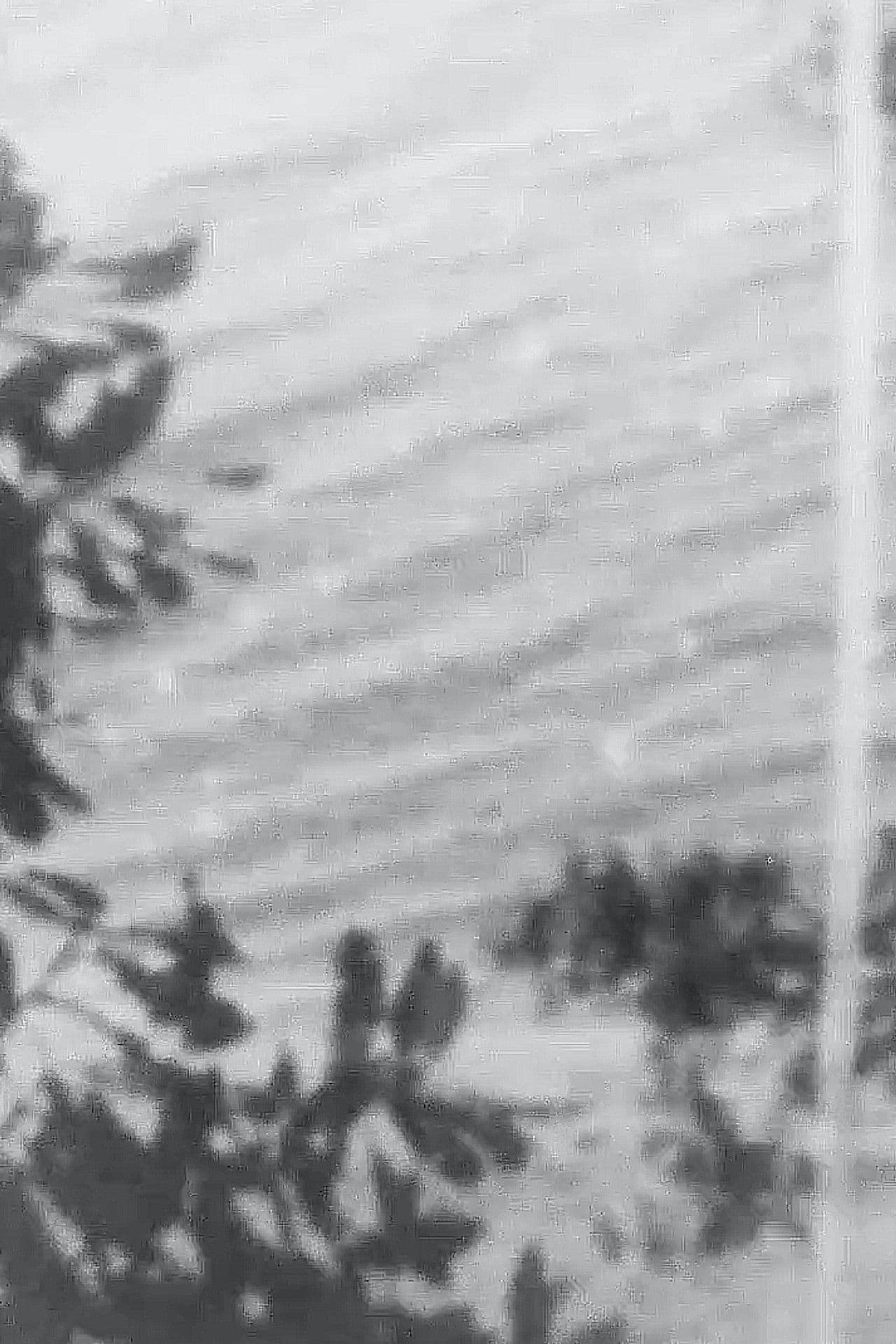 Point Chevalier Beach