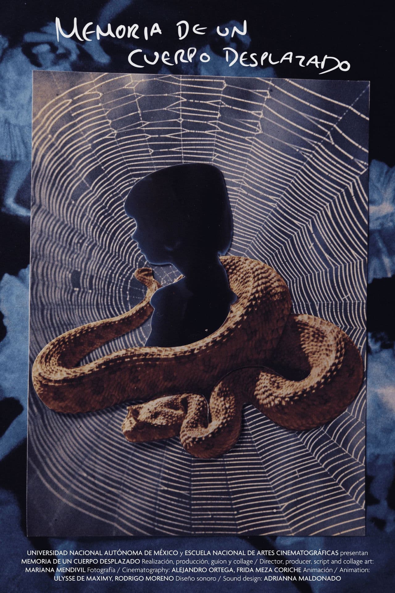 Memory of a Displaced Body