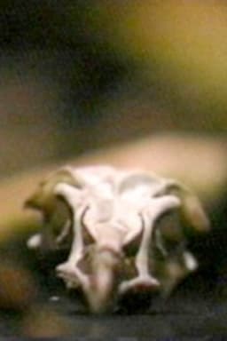 Site/Recite (a prologue)