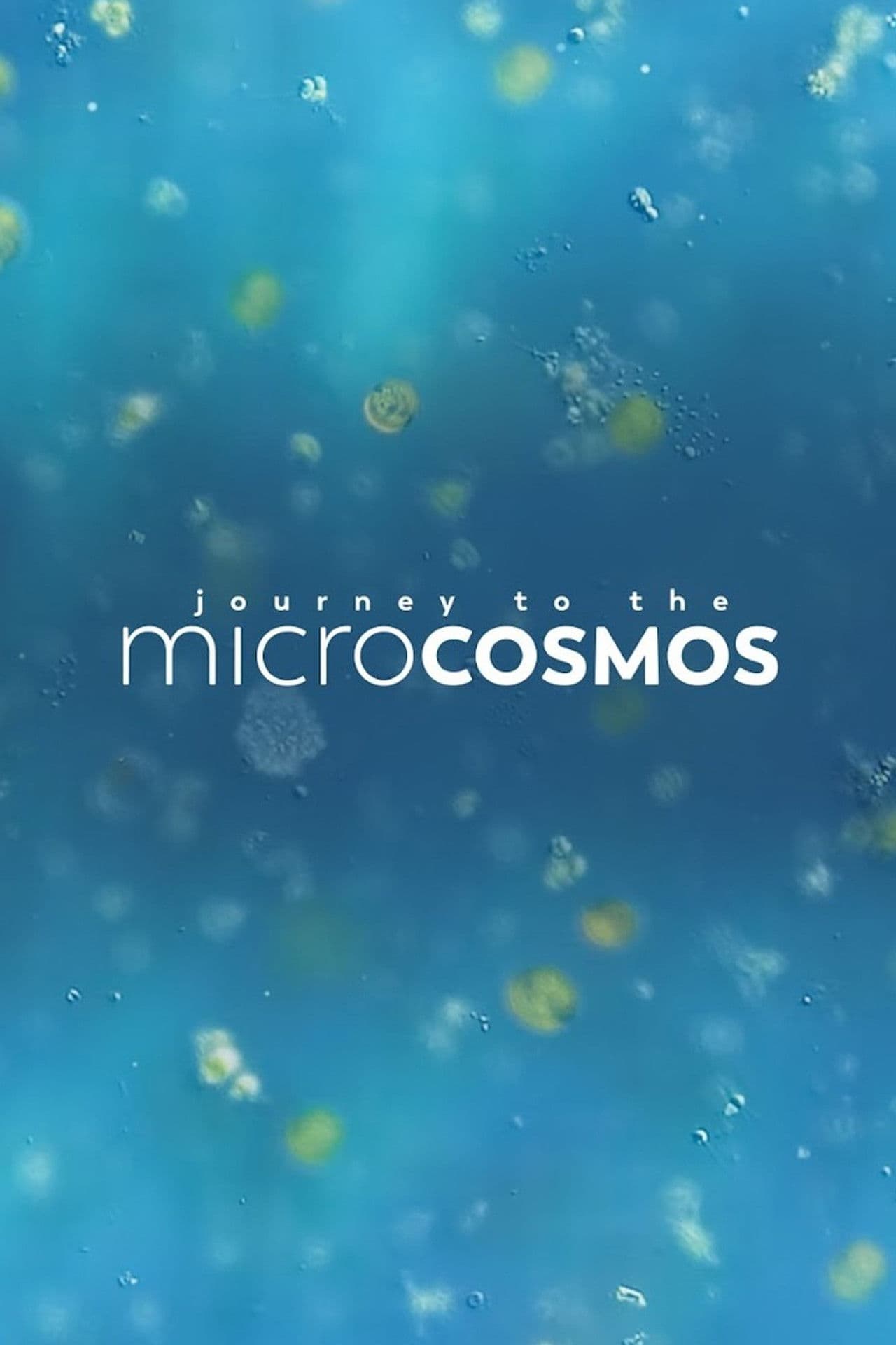 Journey to the Microcosmos