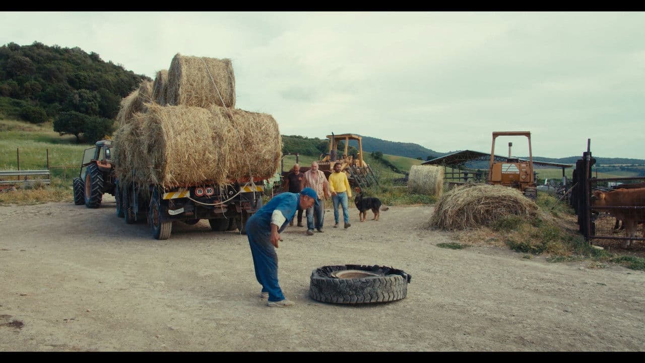 The Substance of Days