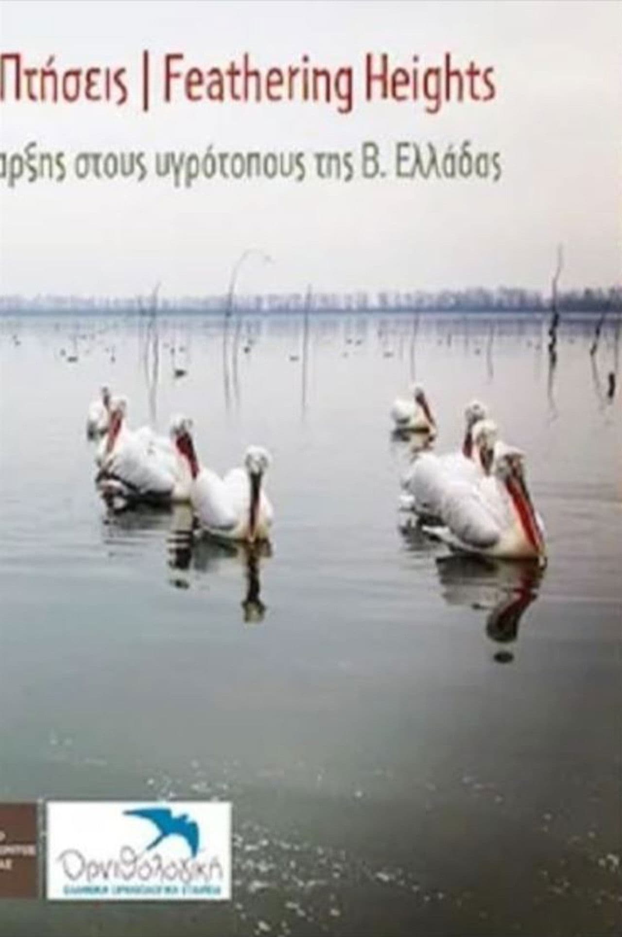 Ανεμοδαρμένες πτήσεις