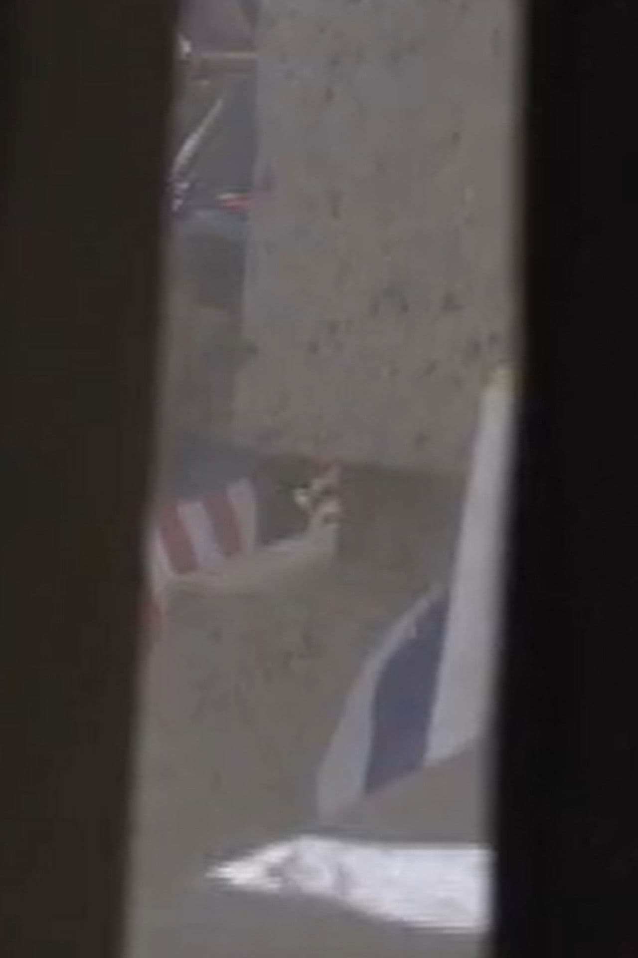 I'm a Pilot Like You