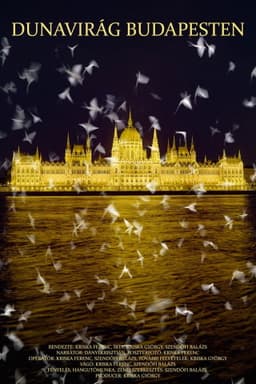 Dunavirág Budapesten