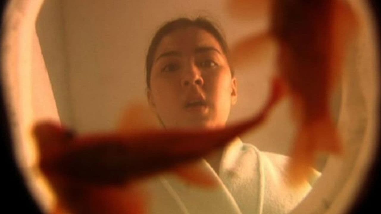 Shake Rattle & Roll 2k5