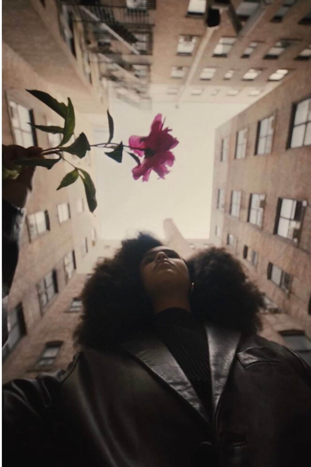 The Young Lordes Collective