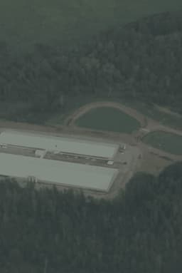 Cargill: Feast or Famine?