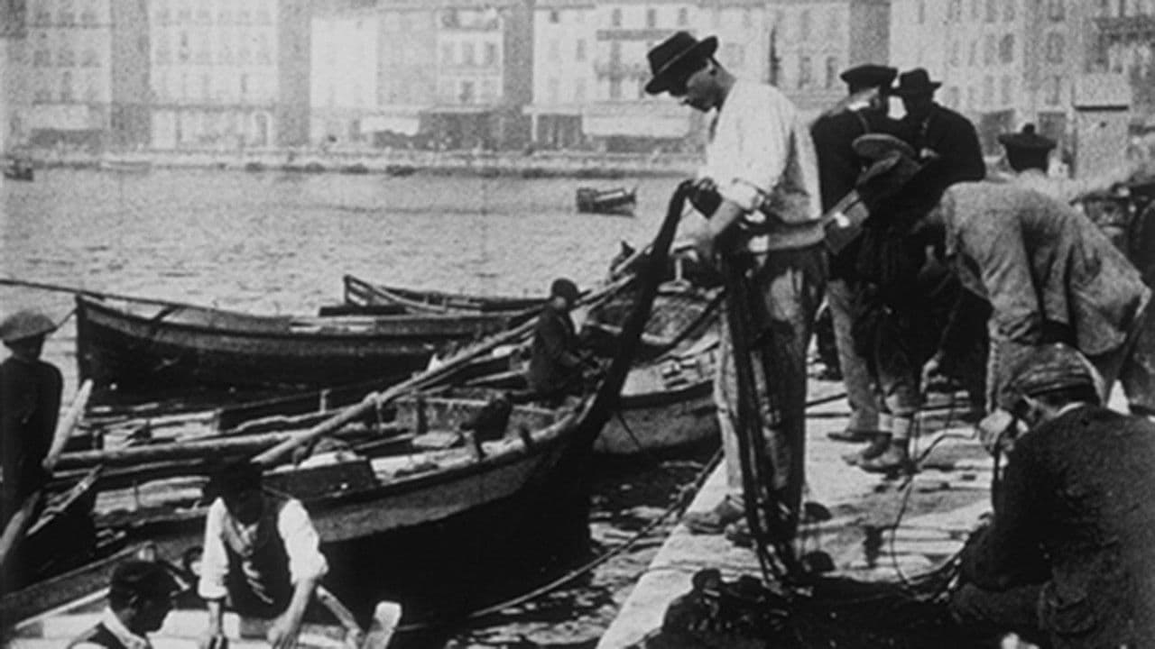 Loading the Fishing Nets