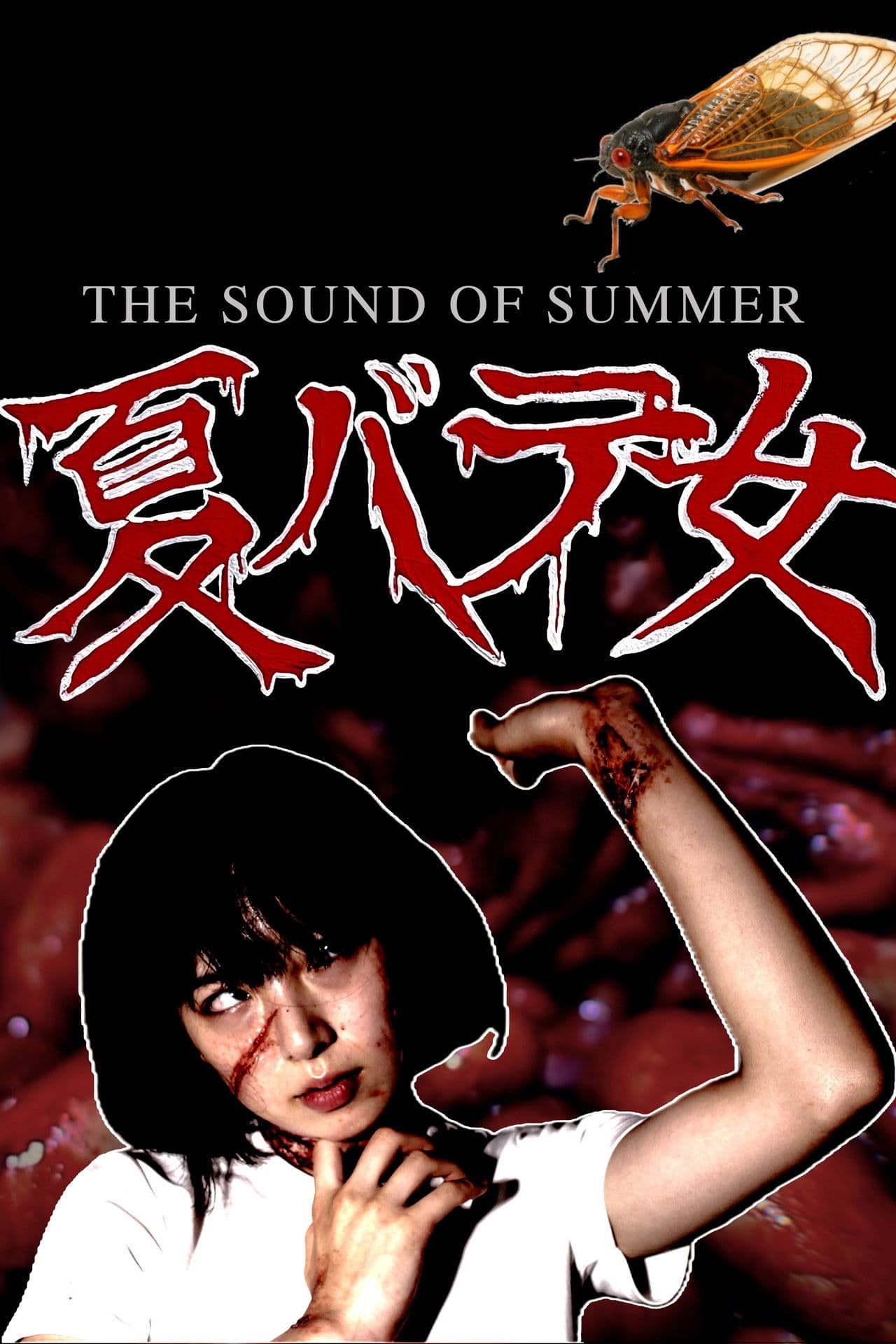 The Sound of Summer