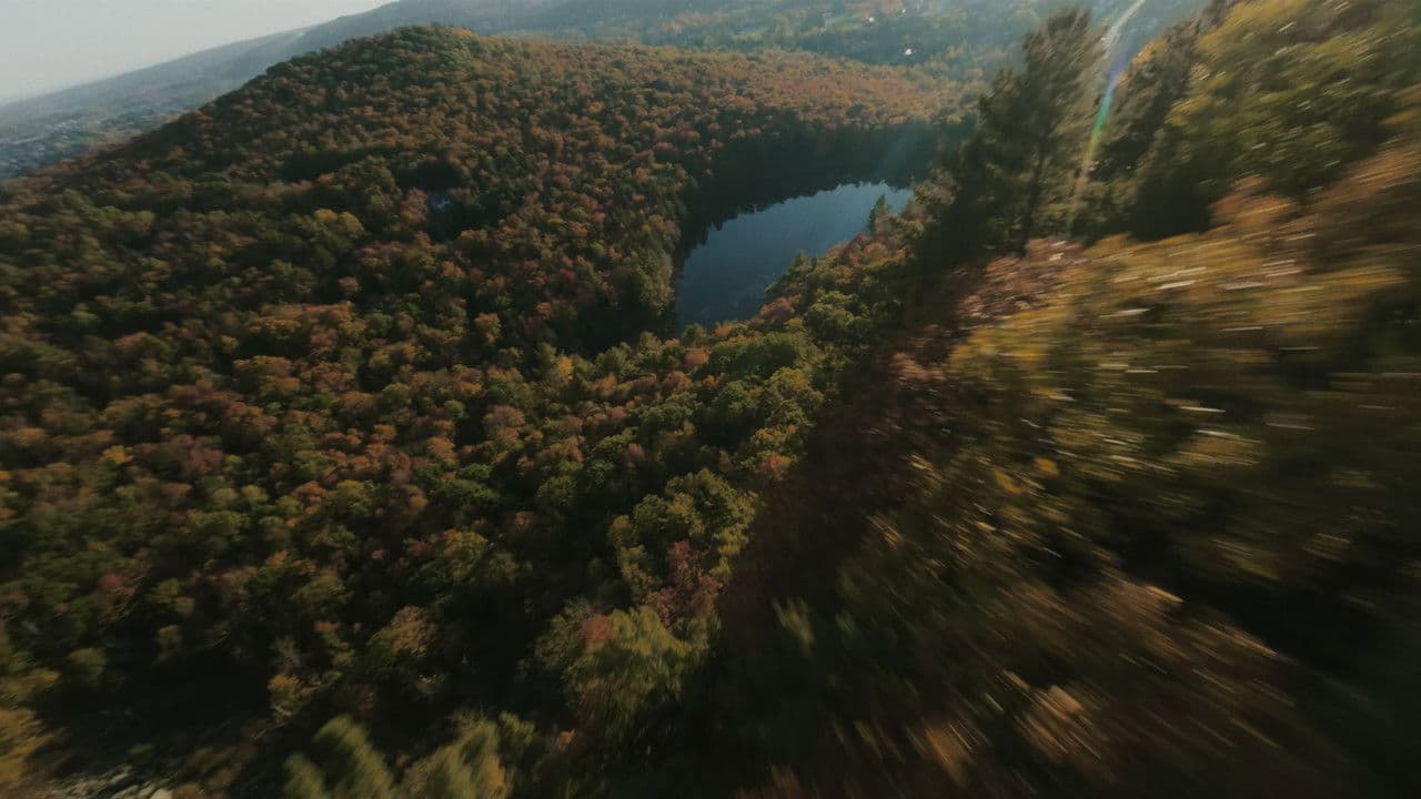 Corridors: Les voies de la Nature
