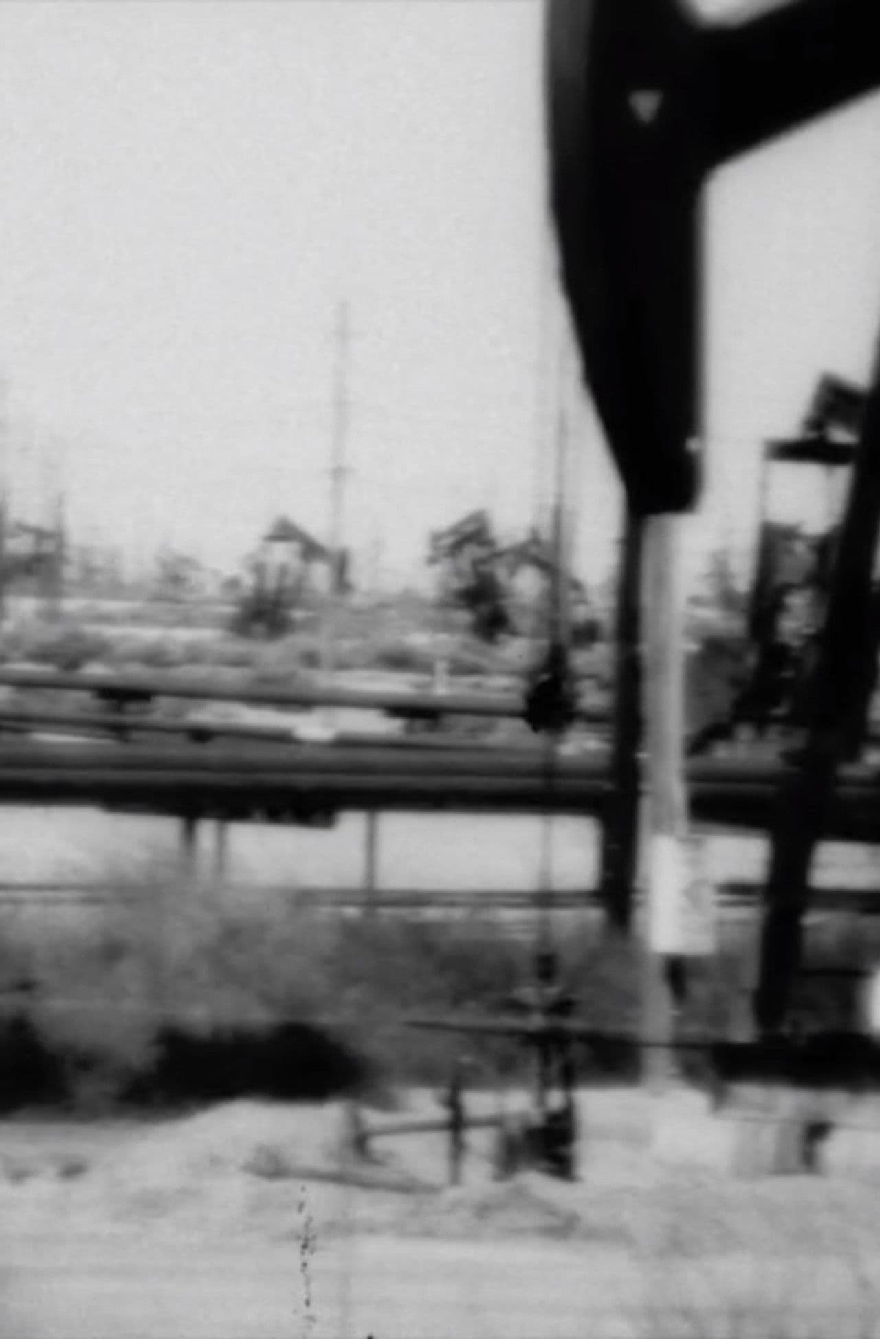 Dailies from Dumpland Part 5