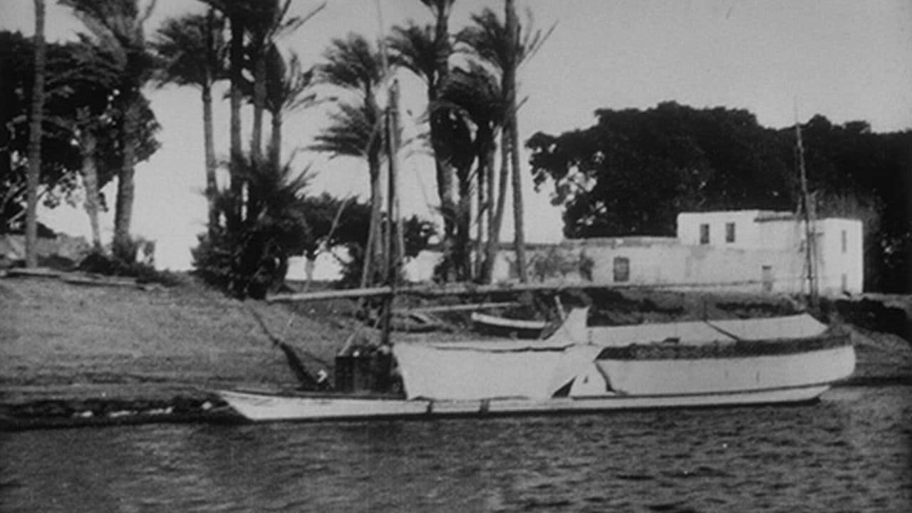 Panorama des rives du Nil, [V]