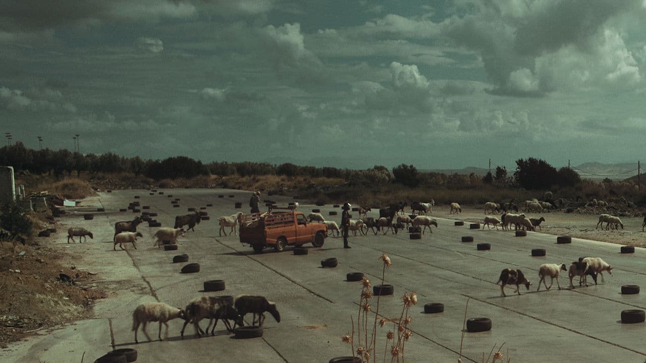 The Future is an Elder Cow