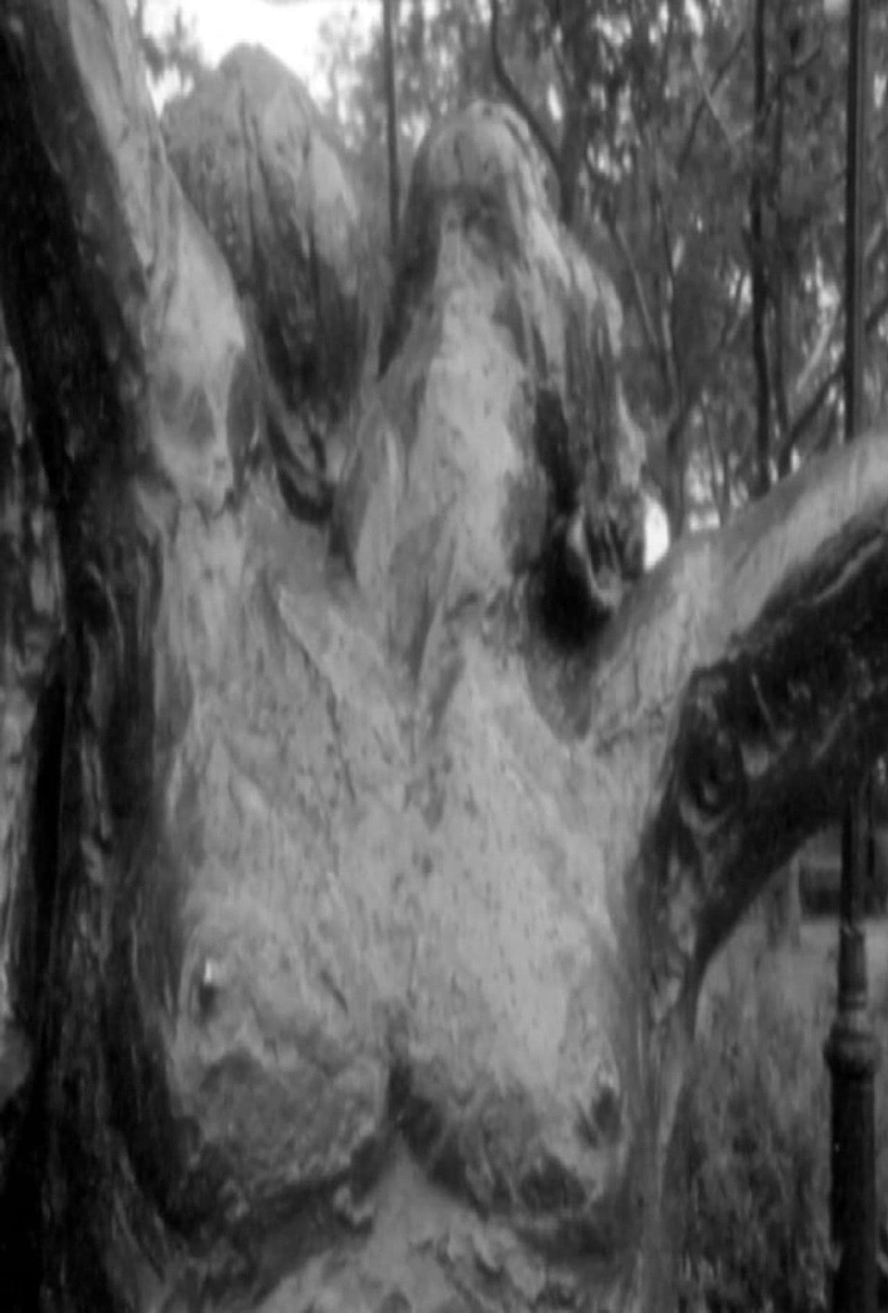 Fuzzy Forests and Looking Across the Stream