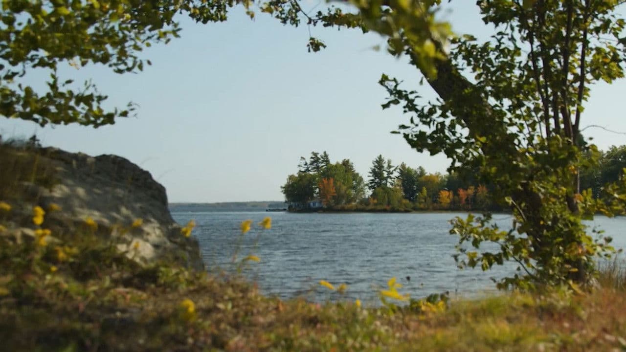 That Feeling, You Can Only Say What It Is In French