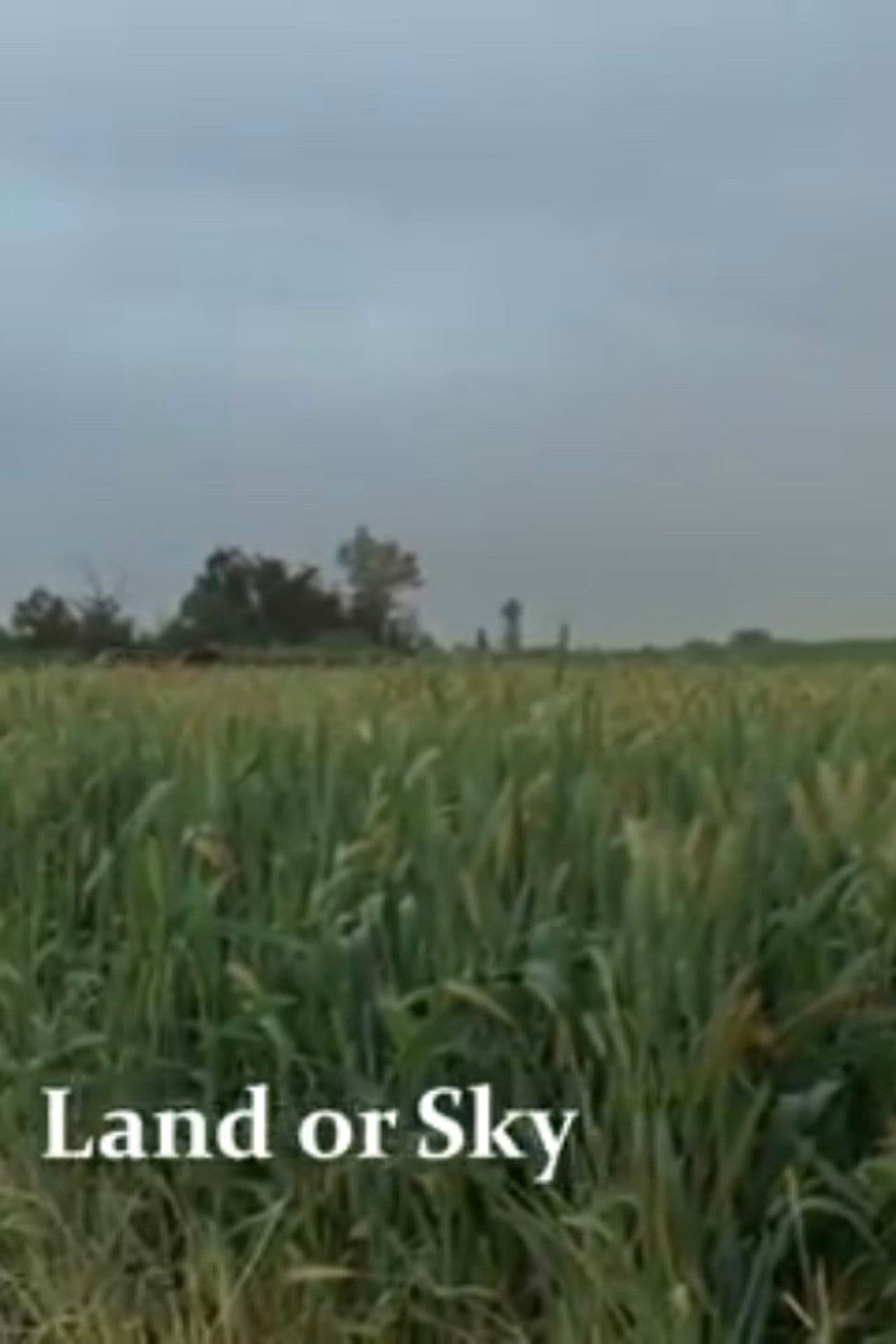 Land or Sky