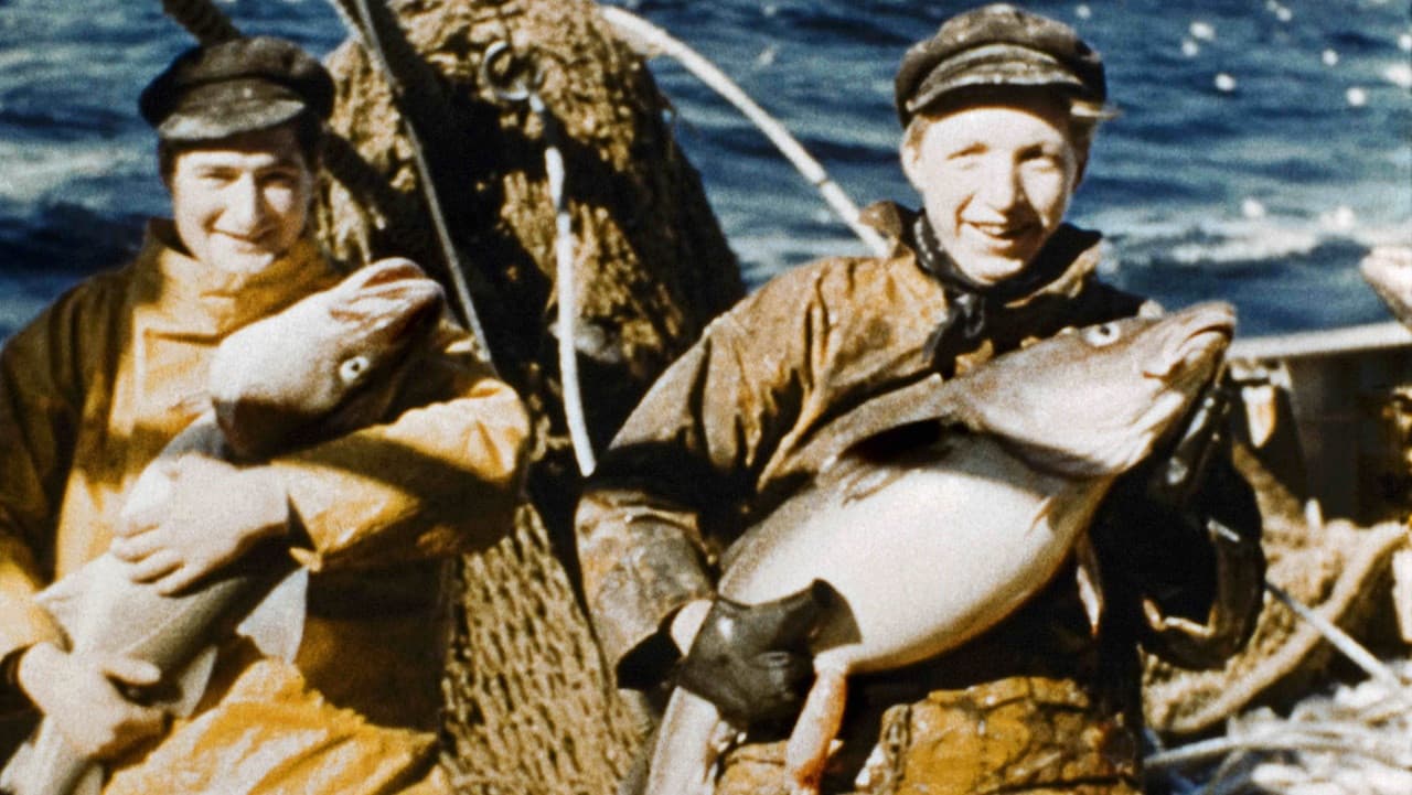 The Documentary Journey of Madame Anita Conti