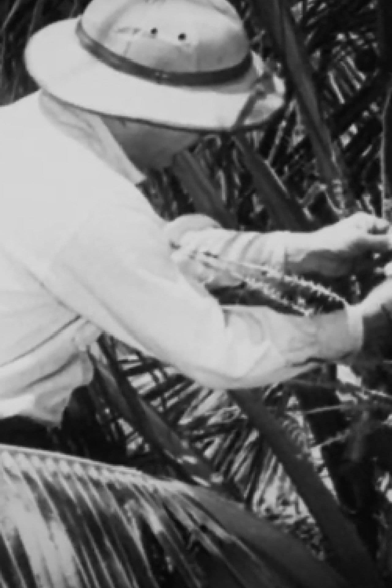 Álbum Cinematográfico de Sergipe