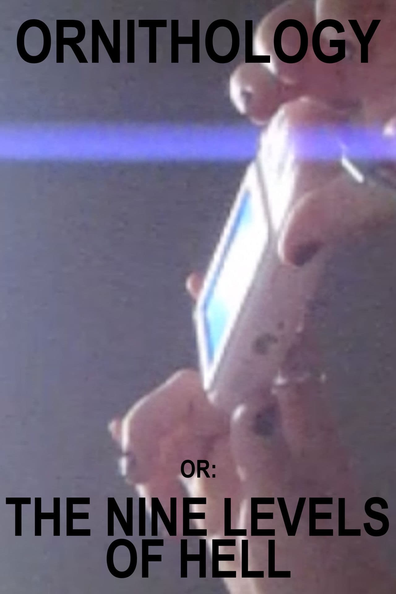 ORNITHOLOGY or: The Nine Levels of Hell