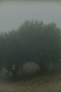 Why Do I See You In Everything?