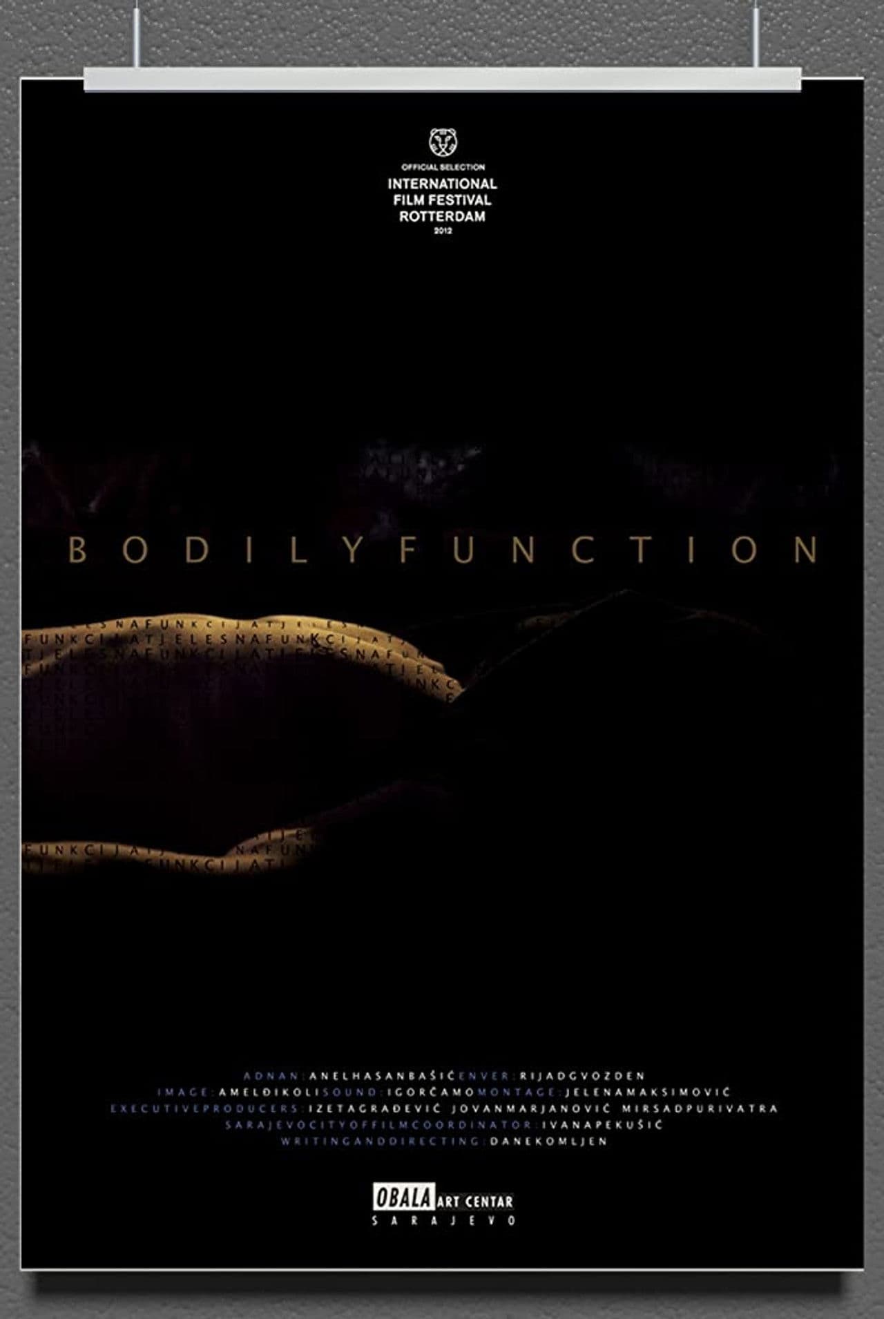 Bodily Function