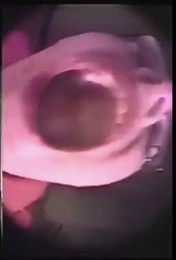 Tribute to Gloria Vanderbilt, Pt 2