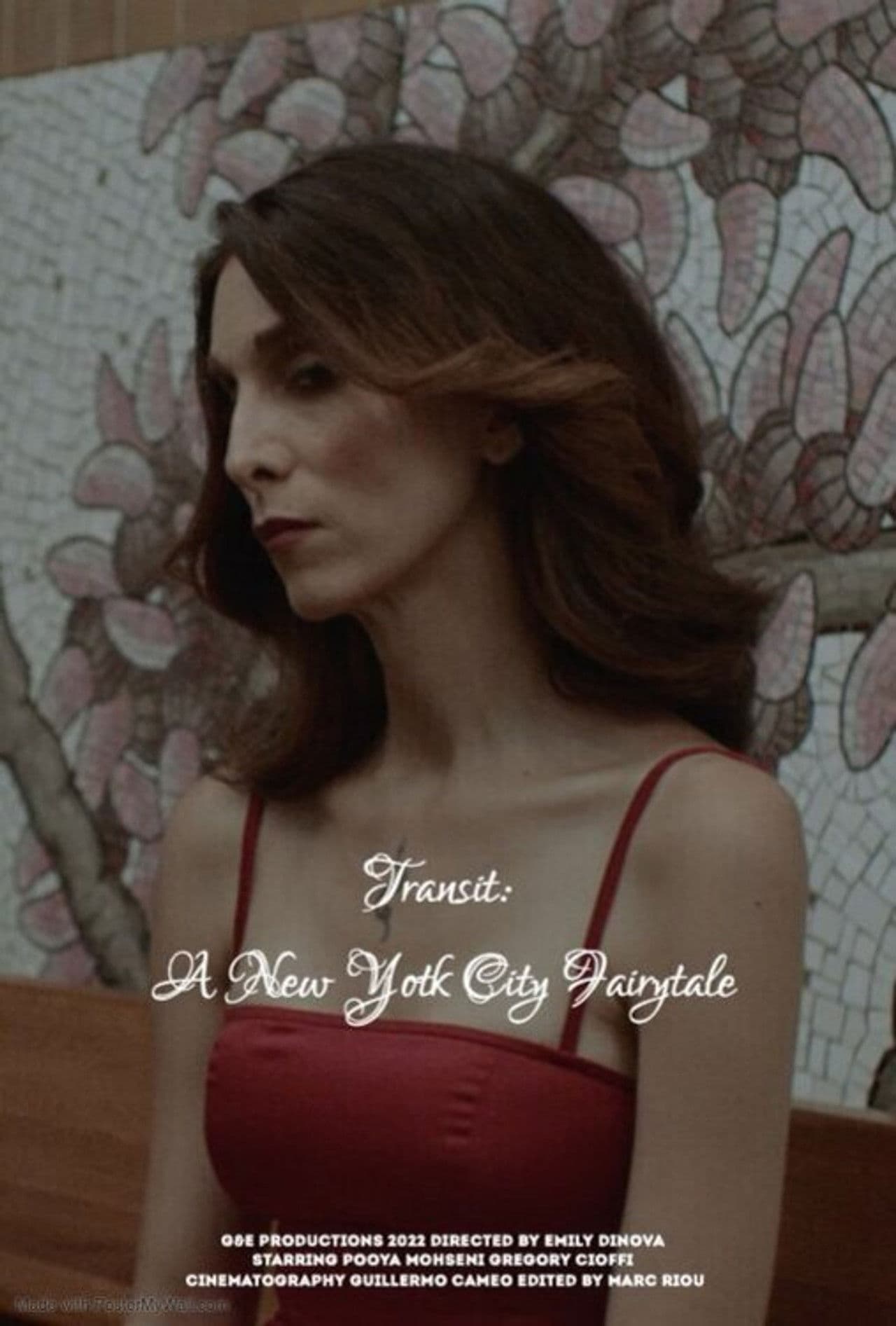Transit: A New York City Fairytale