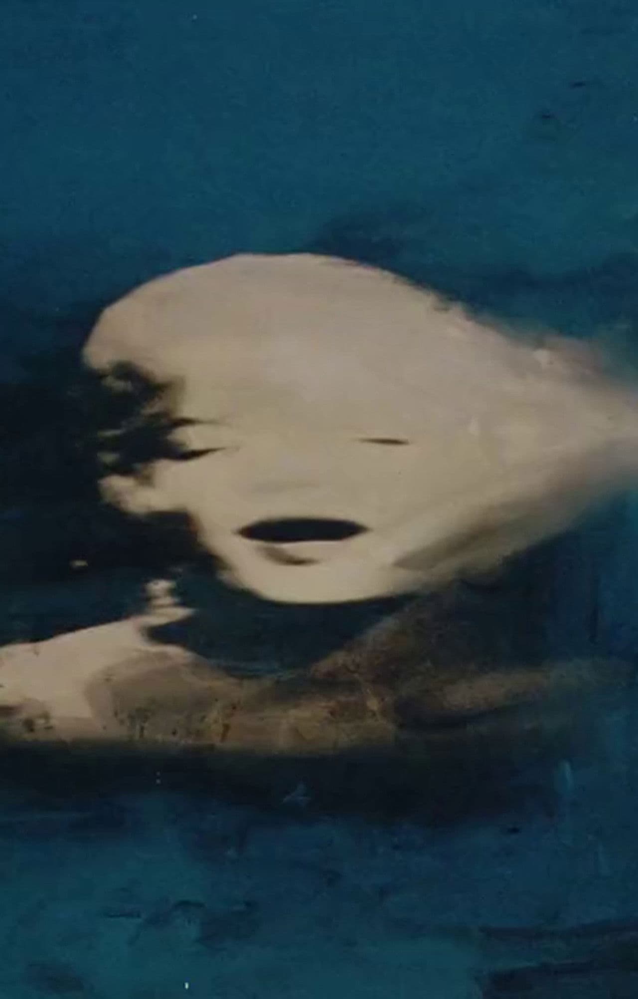 Biennale di Venezia 56° - Sigla