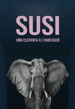 Susi, una elefanta a l'habitació