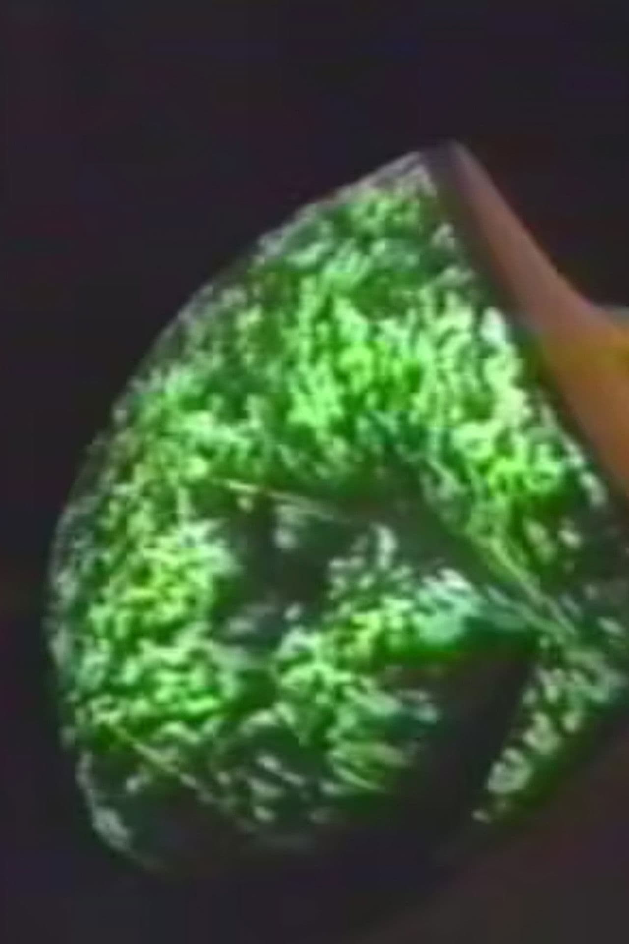 Embodied Images and Virtual Objects