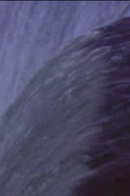 Five Year Diary, Reel 31: Niagara Falls (August 19–28, 1983)