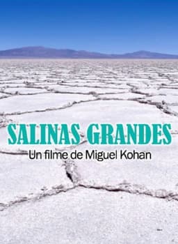 Salinas grandes