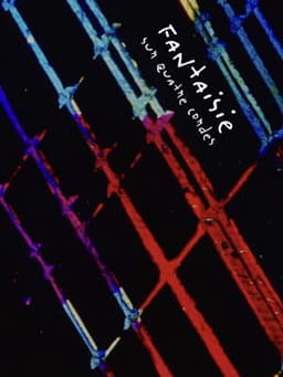 Fantaisie sur quatre cordes