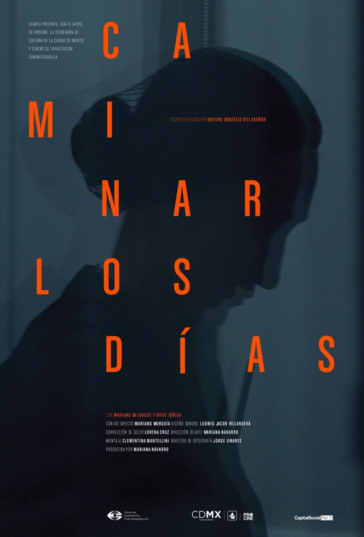 And The Days Never Stop Walking