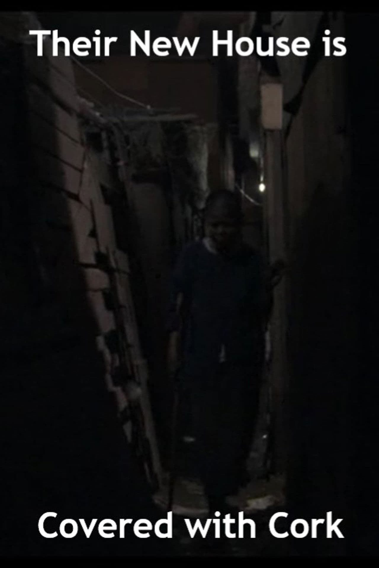 Their New House Is Covered With Cork