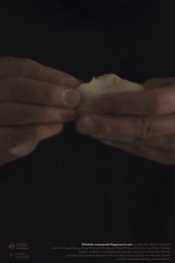 Felicidade numa Panela