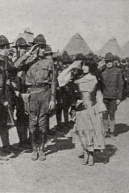 The Little Boy Scout