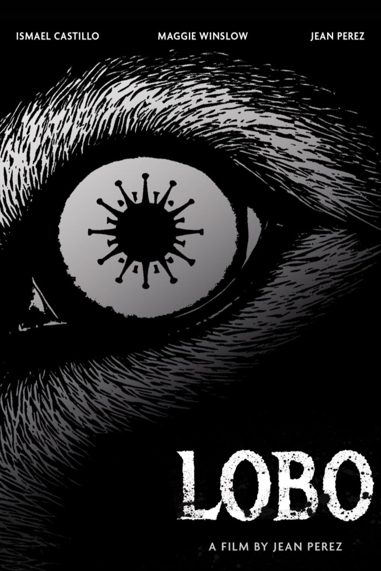Lobo