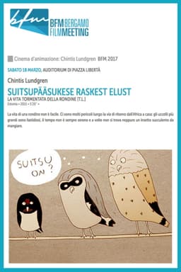 About the Hard Life of the Barn Swallow