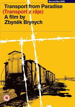 Transport from Paradise