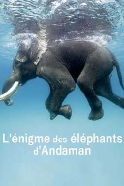 L'énigme des éléphants d'Andaman