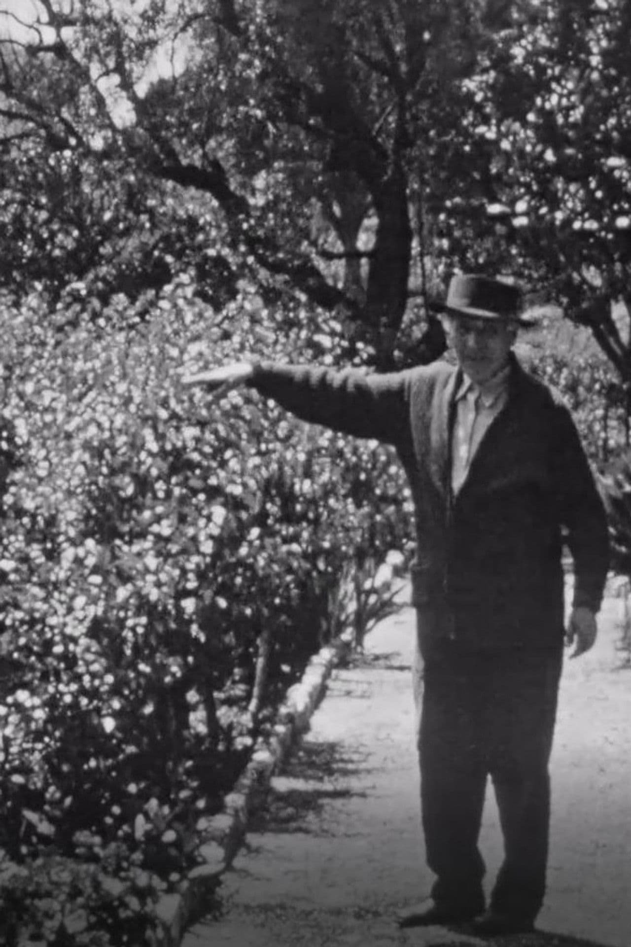 Chagall dans son jardin a Saint-Paul-de-Vence