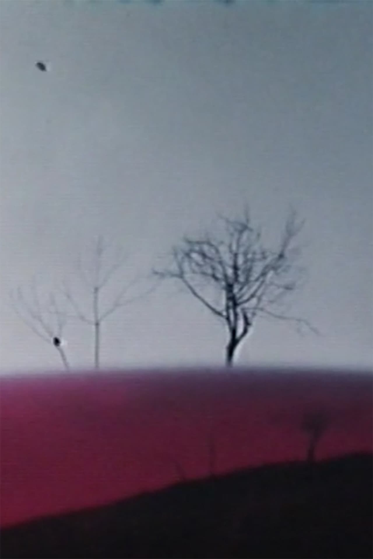 Ho fatto un film a Varese 1°