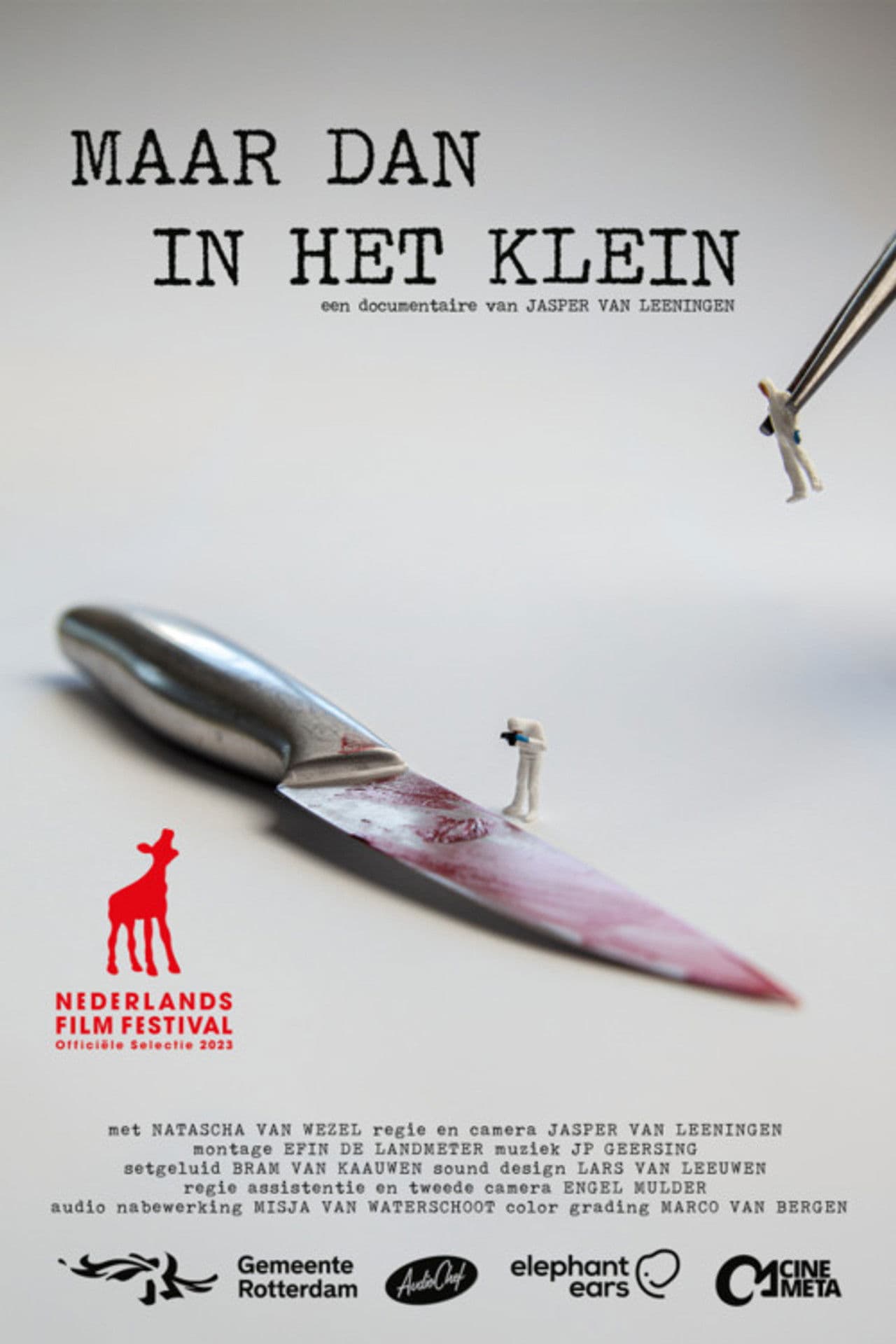 Maar dan in het klein