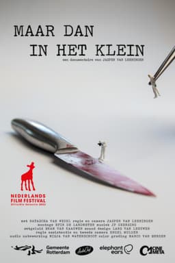 Maar dan in het klein