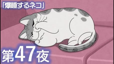 Night 47: Sound-Asleep Cat