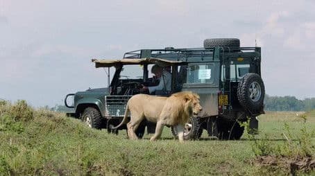 The Making of Dynasties