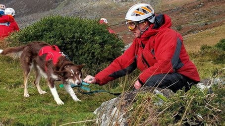 A Fortunate Coincidence