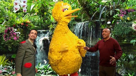 Big Bird’s Big Move